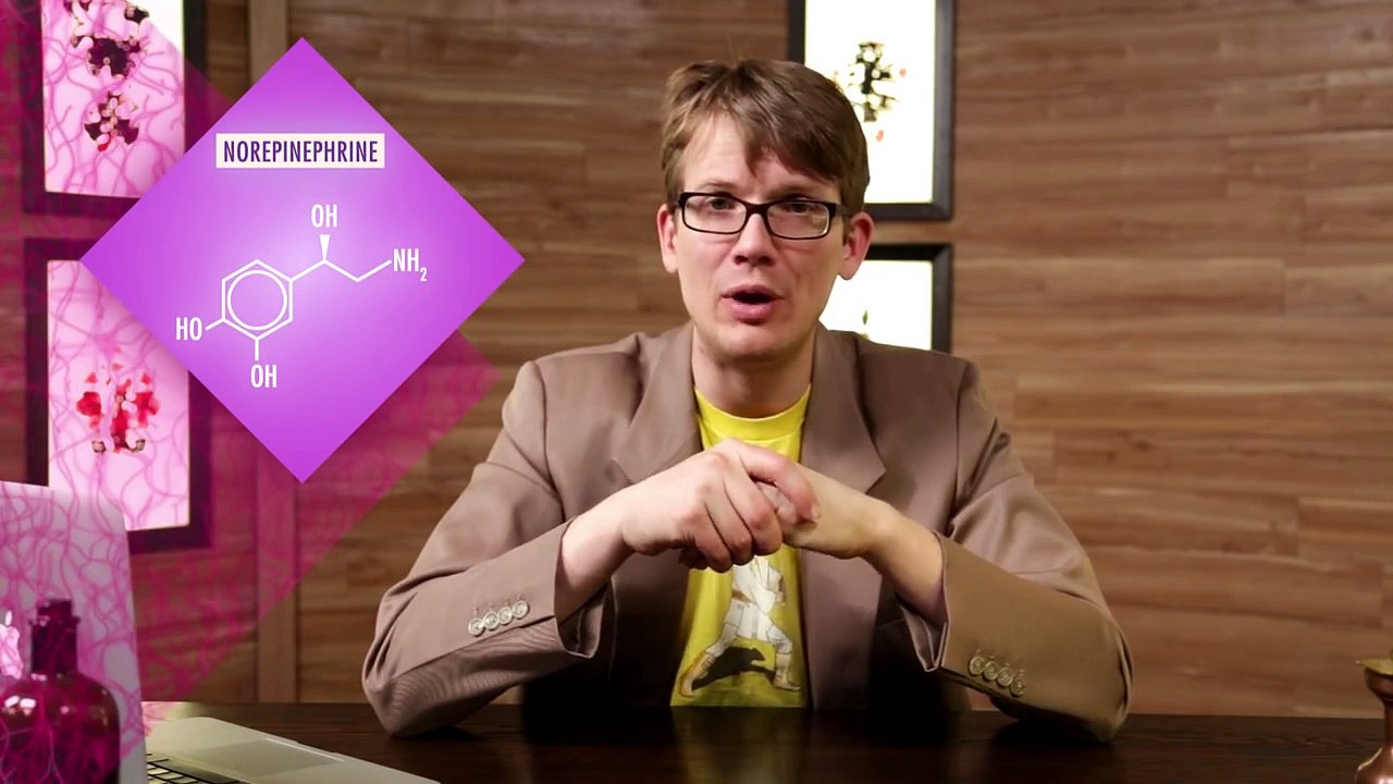 The Chemical Mind - Crash Course Psychology #3