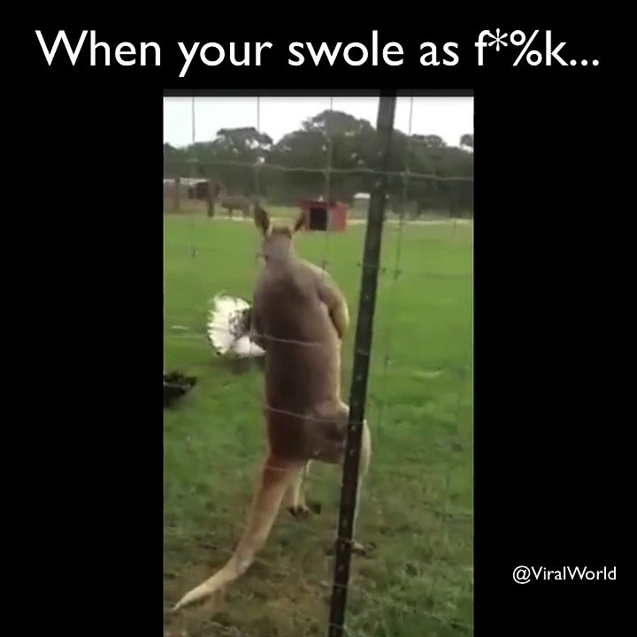 How much is this guy benching in the gym