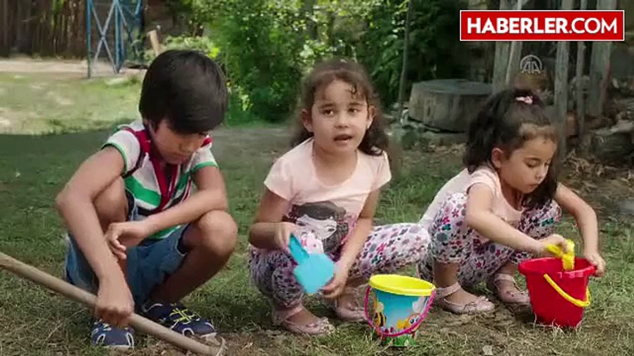 Sinema - Dedemin Fişi