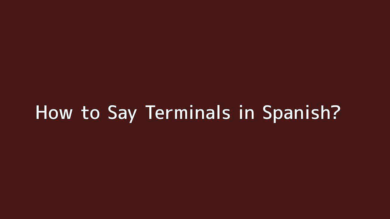 How to say Terminals in Spanish