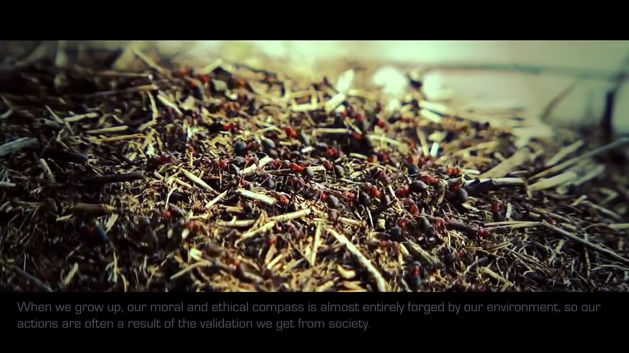 Human Brain And Quantum Physics ( Science ) - Full Documentary HD