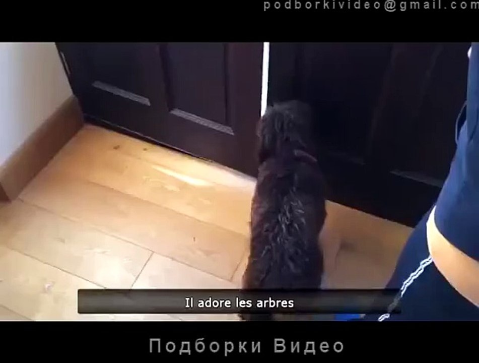 Ржачные приколы Лучшее Короткие ролики #37