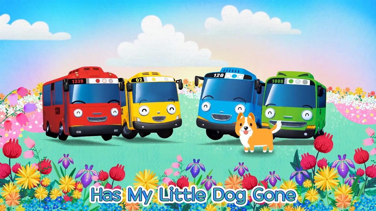 [Boom Series] #02 Tayo & Puppy Series