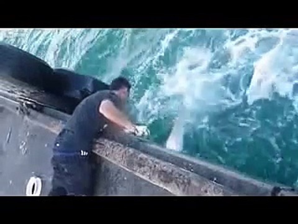 Парень поймал огромную рыбу