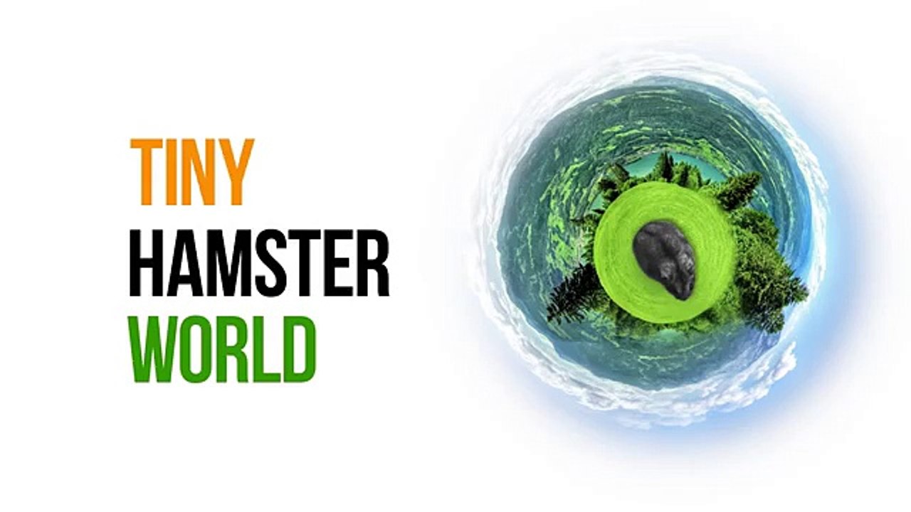 Дерзкий побег. Побег смешного хомяка из бумажного пакета