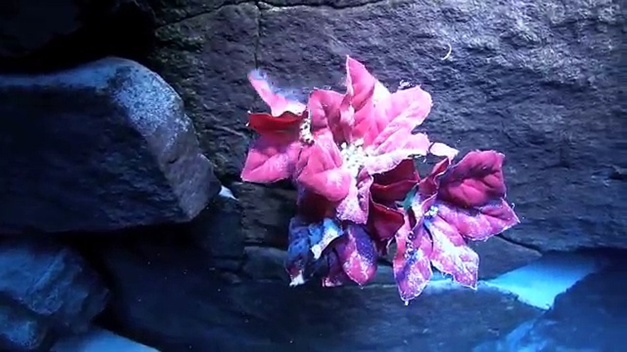 Blue Hole: What's on the Bottom?