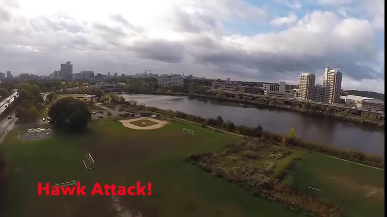 ОРЕЛ ПРОТИВ БЕСПИЛОТНИКА