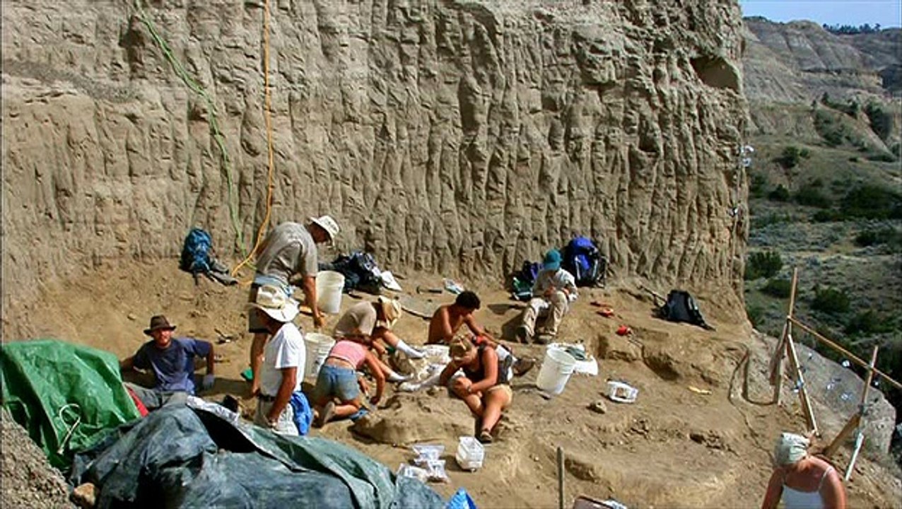 BBC Documentary - Dinosaurs The Hunt For Life  - BBC Horizon Documentary