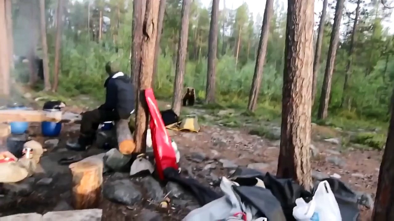 Встреча туристов с медведем в Умбе