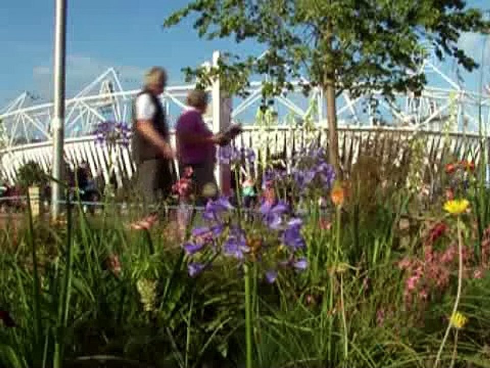 Олимпиада- лёгкая атлетика началась