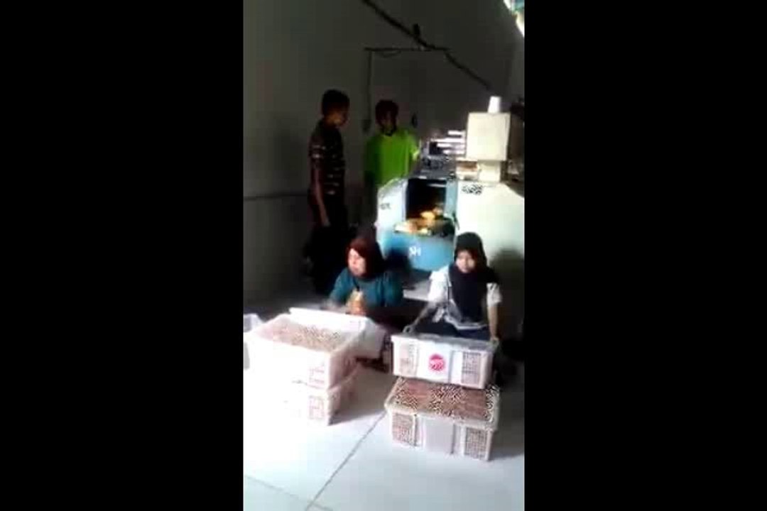 packing job in uk girls and boys requaired