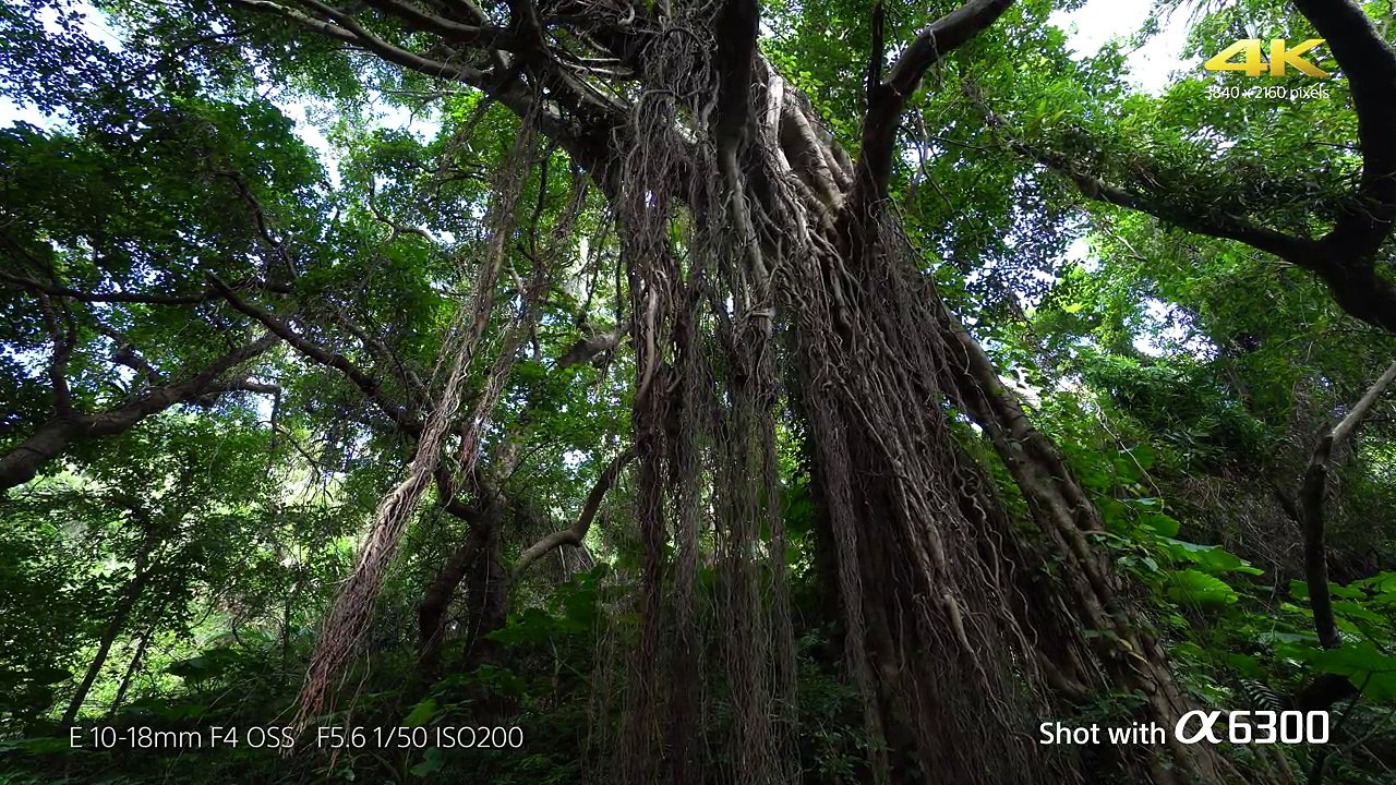 Sony presenta la nueva cámara a6300