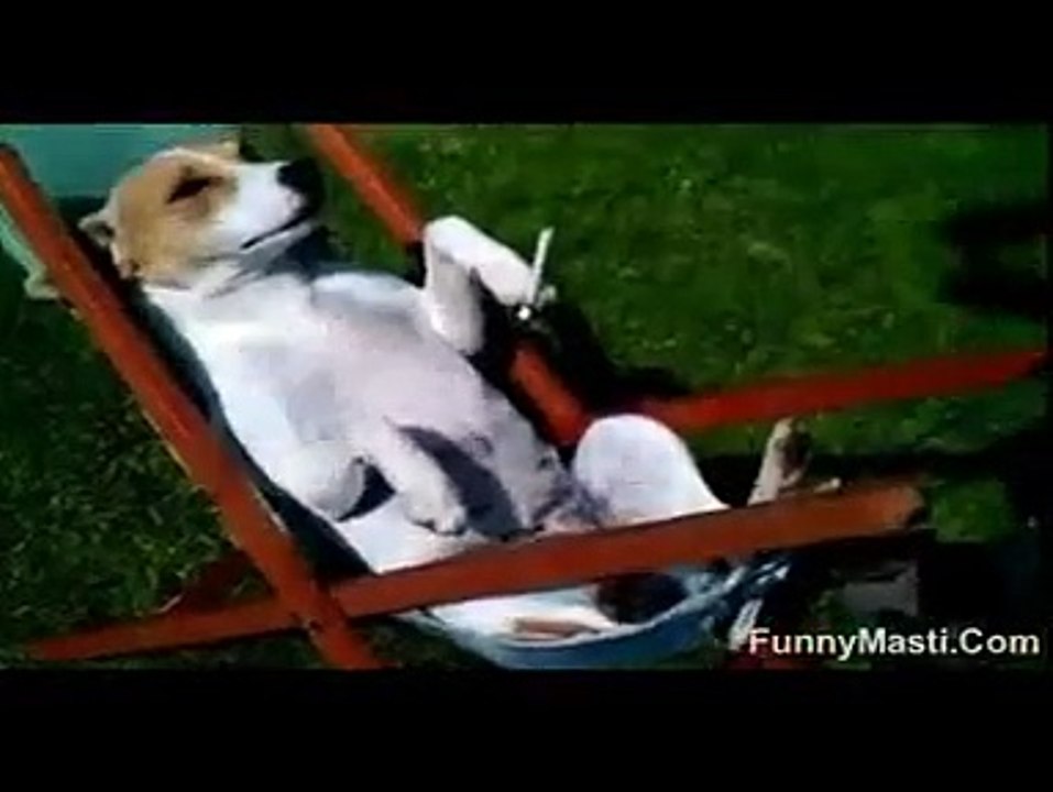 Life of a Software engineer ... must watch