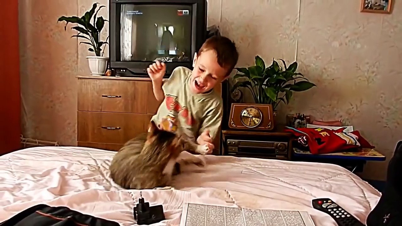 МАЛЬЧИК ОБИДЕЛ КОТА