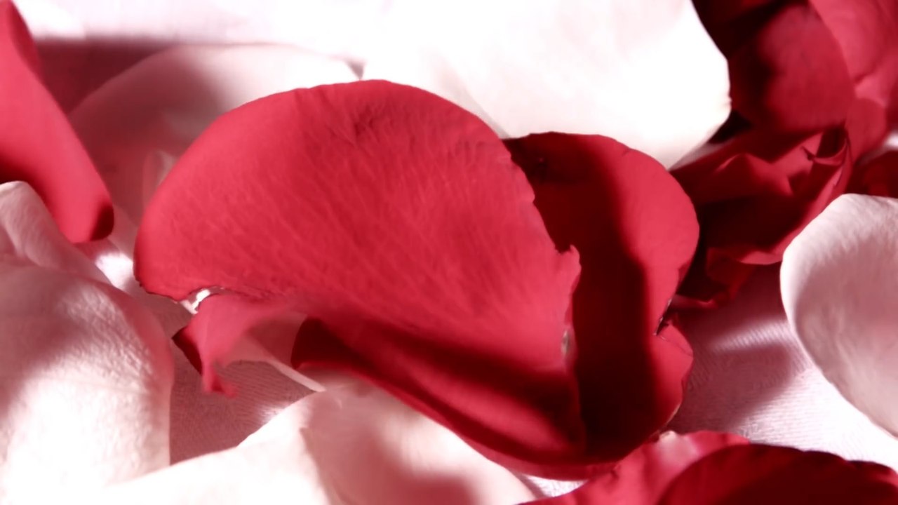 Video Background HD - Love HD