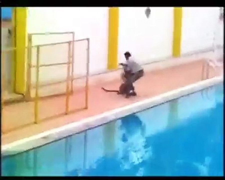 leopard attack in school and camera man in india