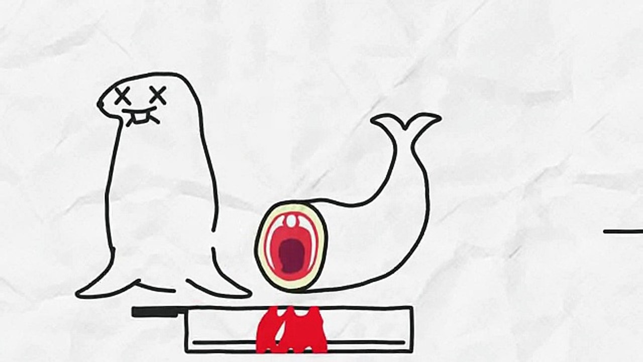 Война и Жир - [Бумага] — юмористический прикол