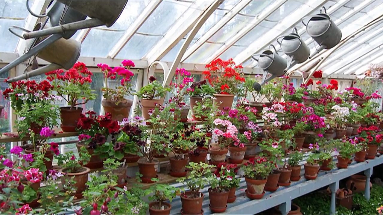 Декадентский сад