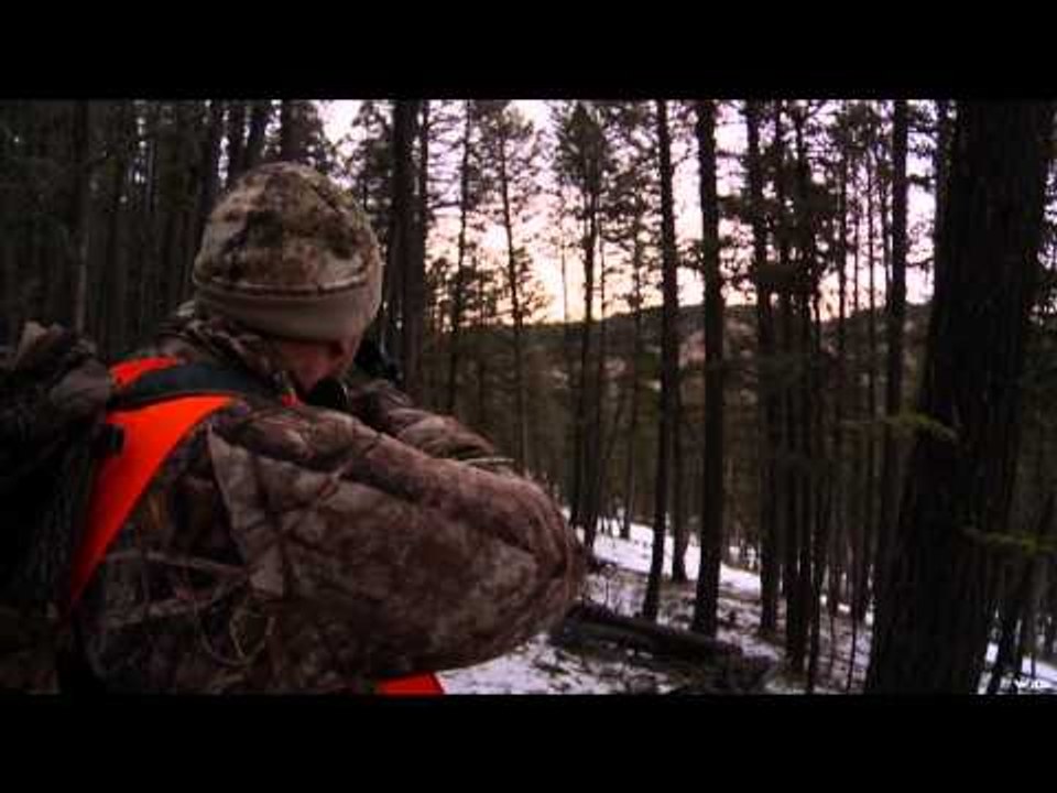SportingDog Adventures - Montana Adventure