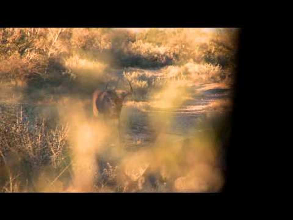 Headhunter's TV - Headhunter's TV