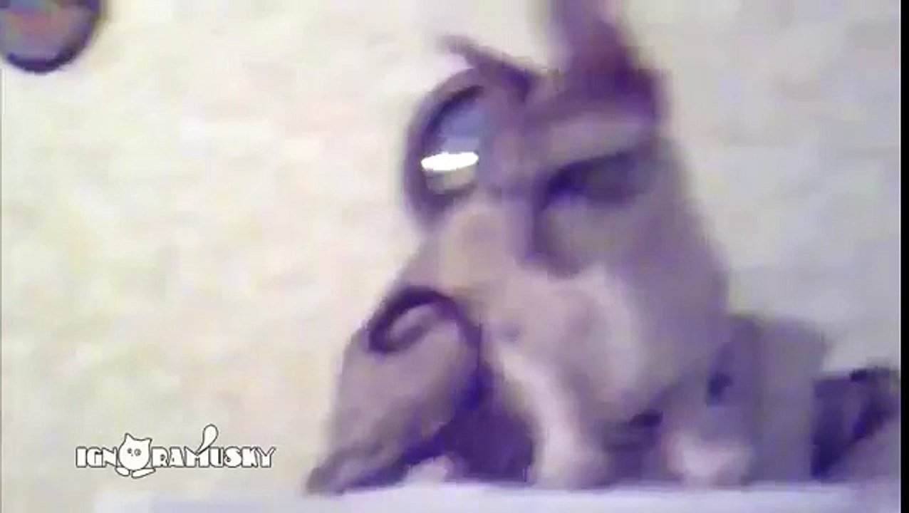 Back vocal. Бэк вокал