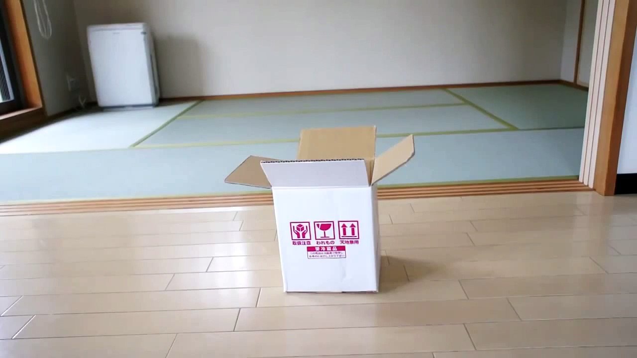 Не одной коробки не пропустит! Mary