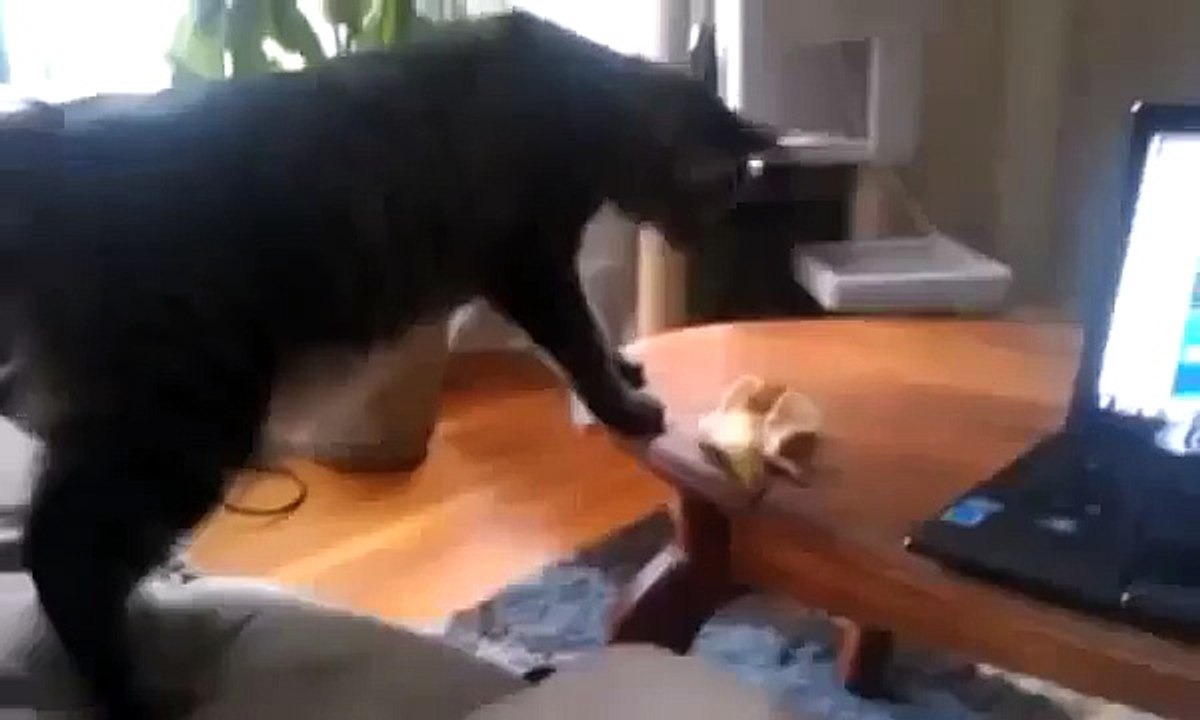 Смешно лучшее 9