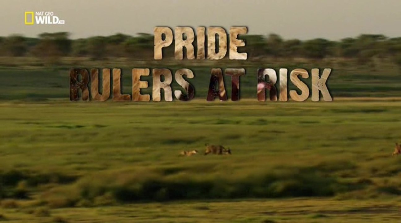 Прайд 2. Дни, полные опасности (2014) National Geographic
