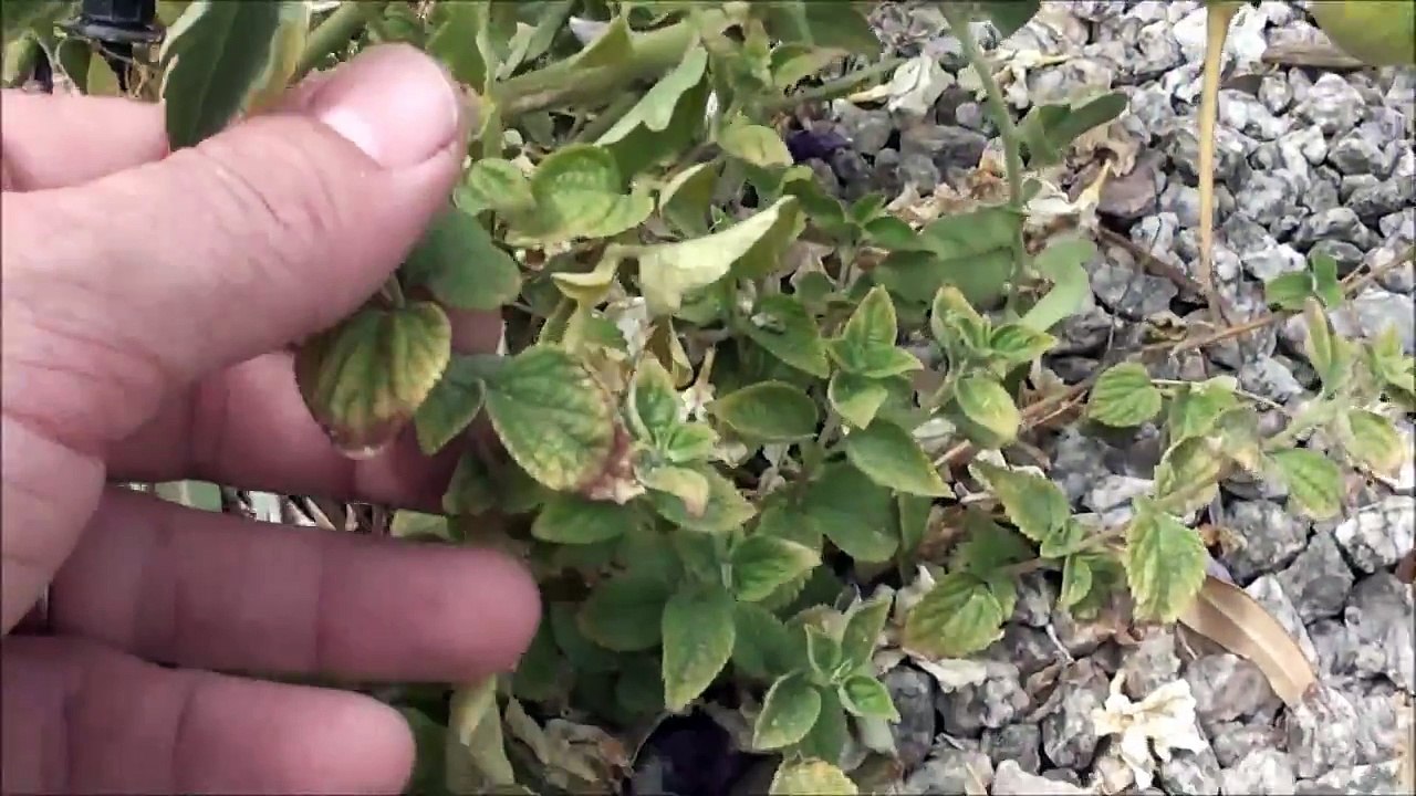 Look what's growing!