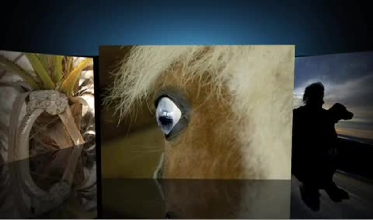 Understanding the Subject