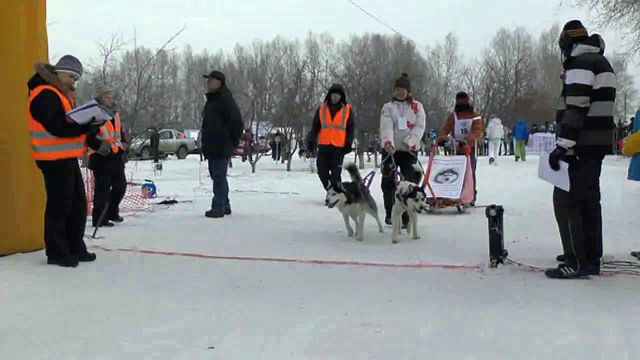 Ездовой спорт - трейлер