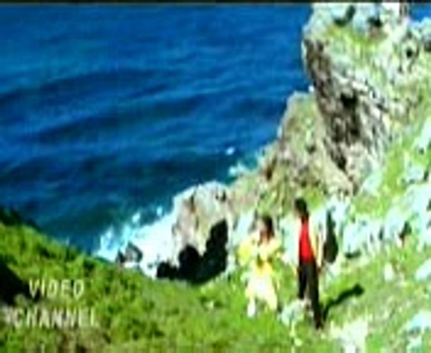 Haay Dil: Heartfelt Expressions 💖