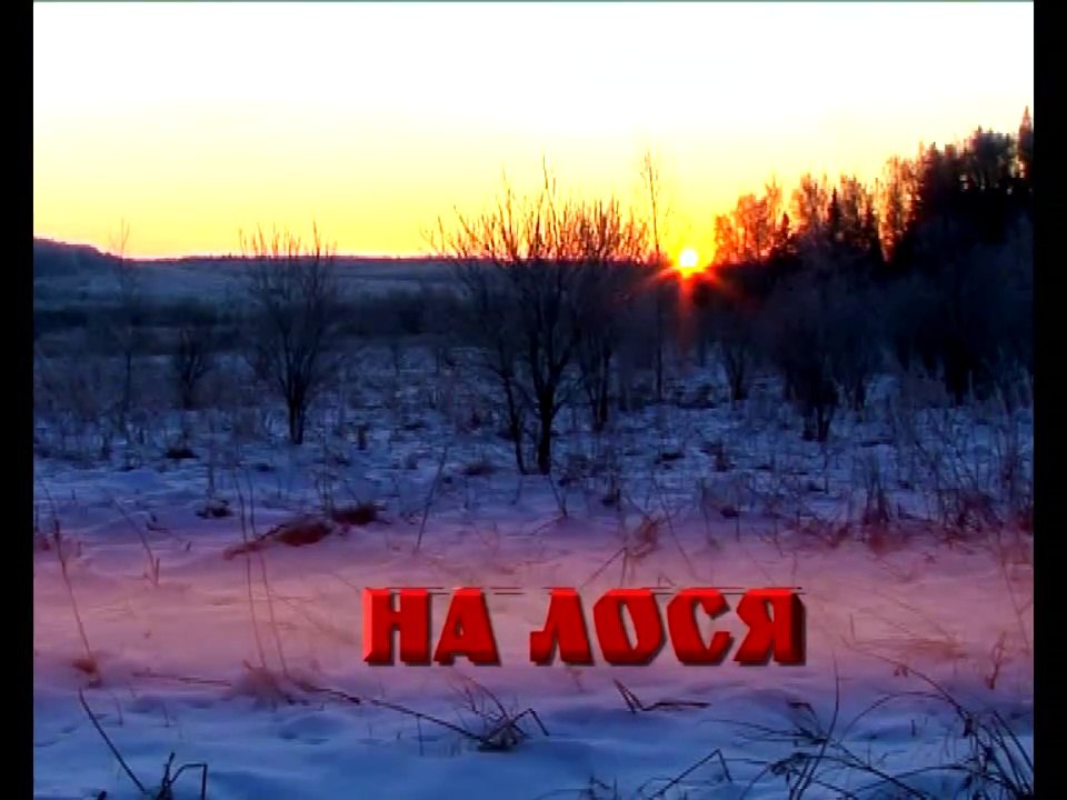 На лося. Фильм первый