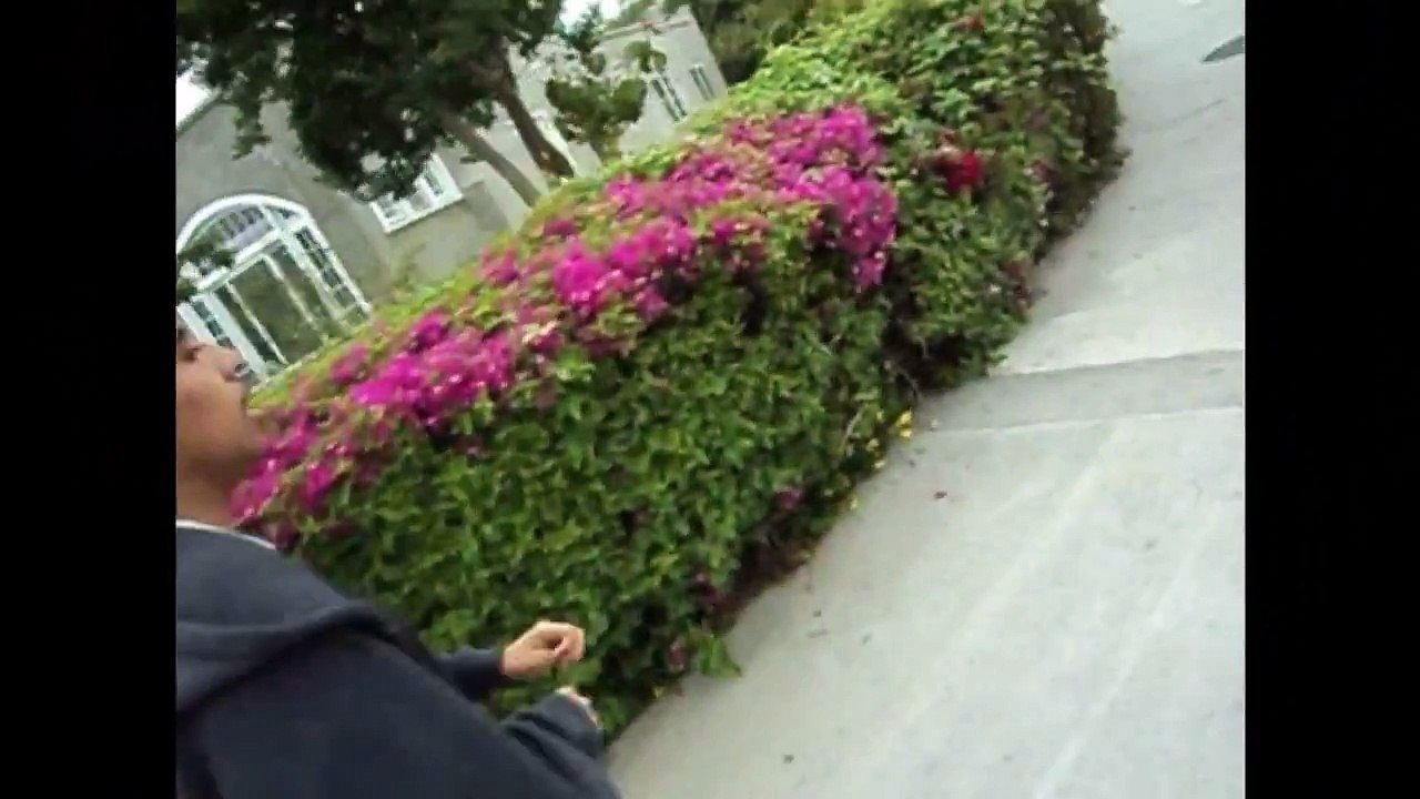 Never Repent - Preview