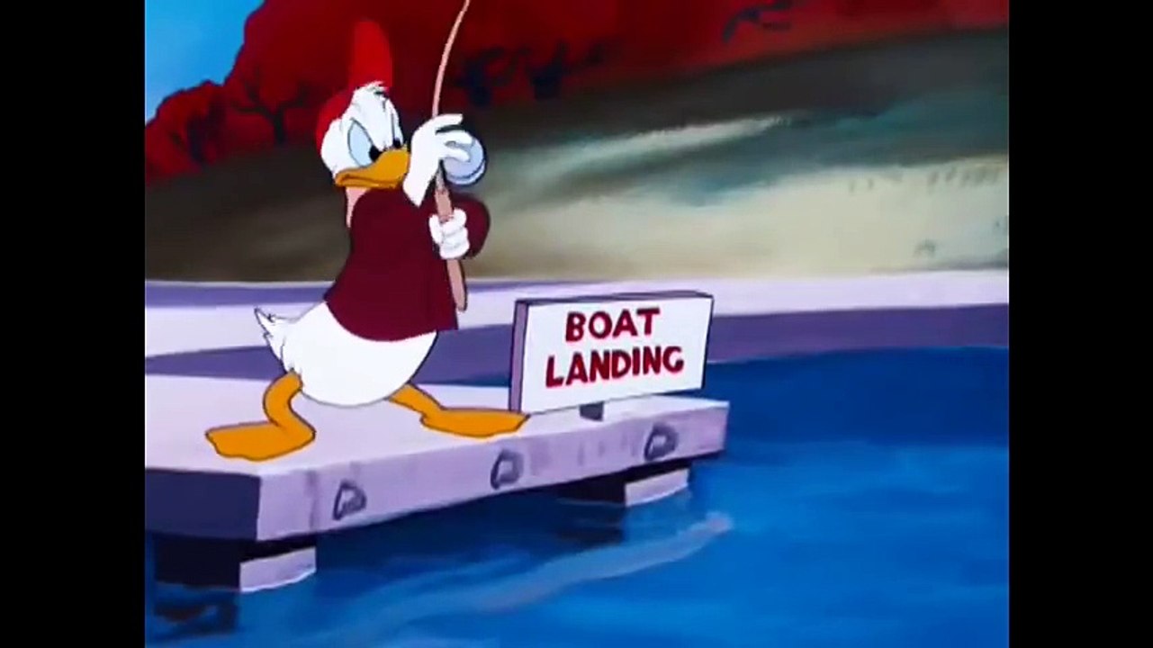 Donald Duck & Chip And Dale Cartoons In Hindi - Chip 'n' Dale Cartoon for kids