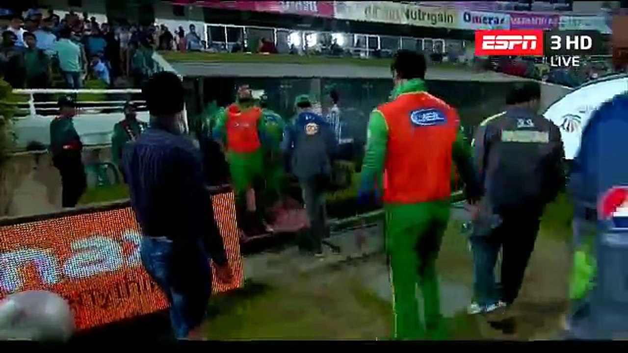 LiveFlash - embedded player