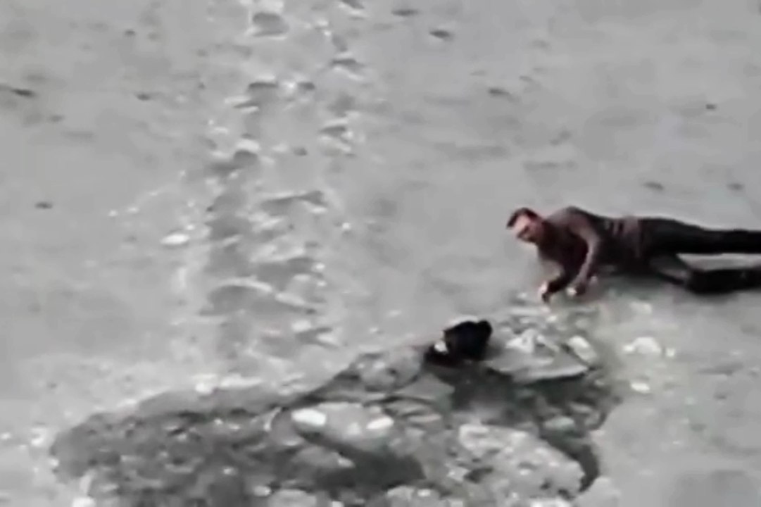 Спасение своего друга