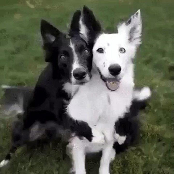 Давай сфоткаемся 📸