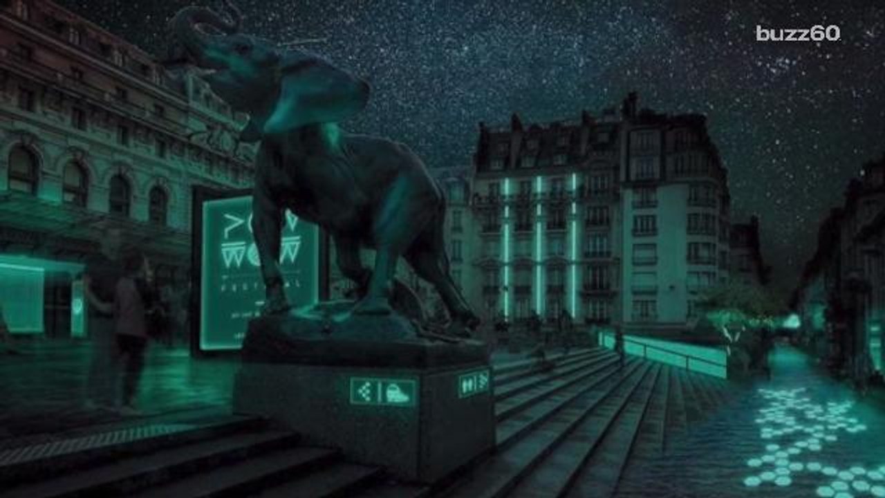 Start-up designing bioluminescent bacteria to light up cities