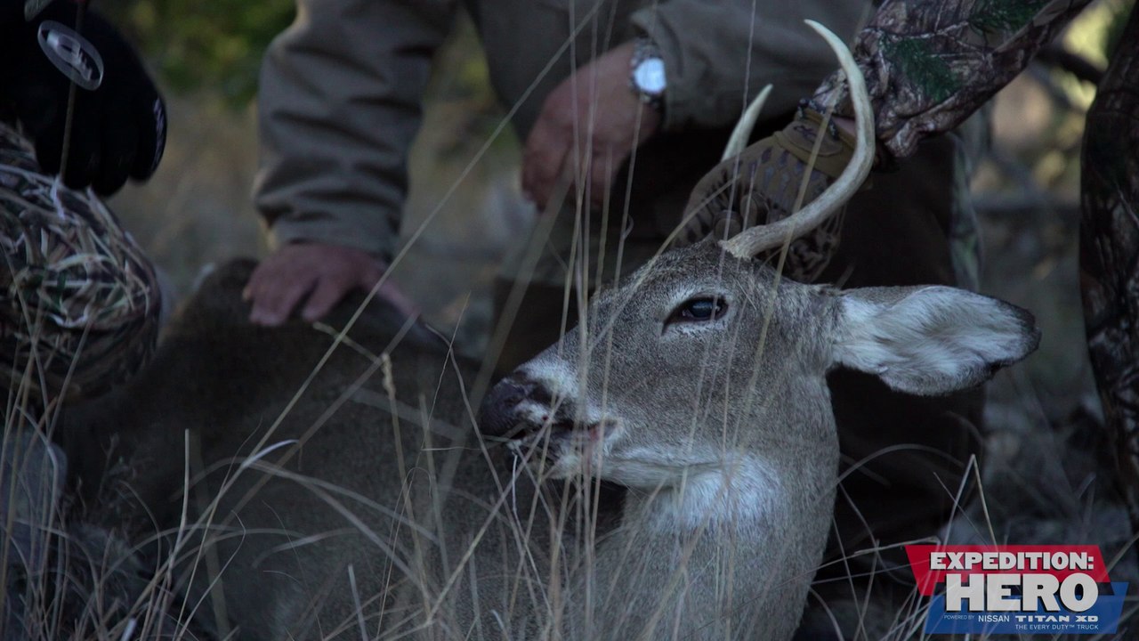 What is a "Cull" Buck