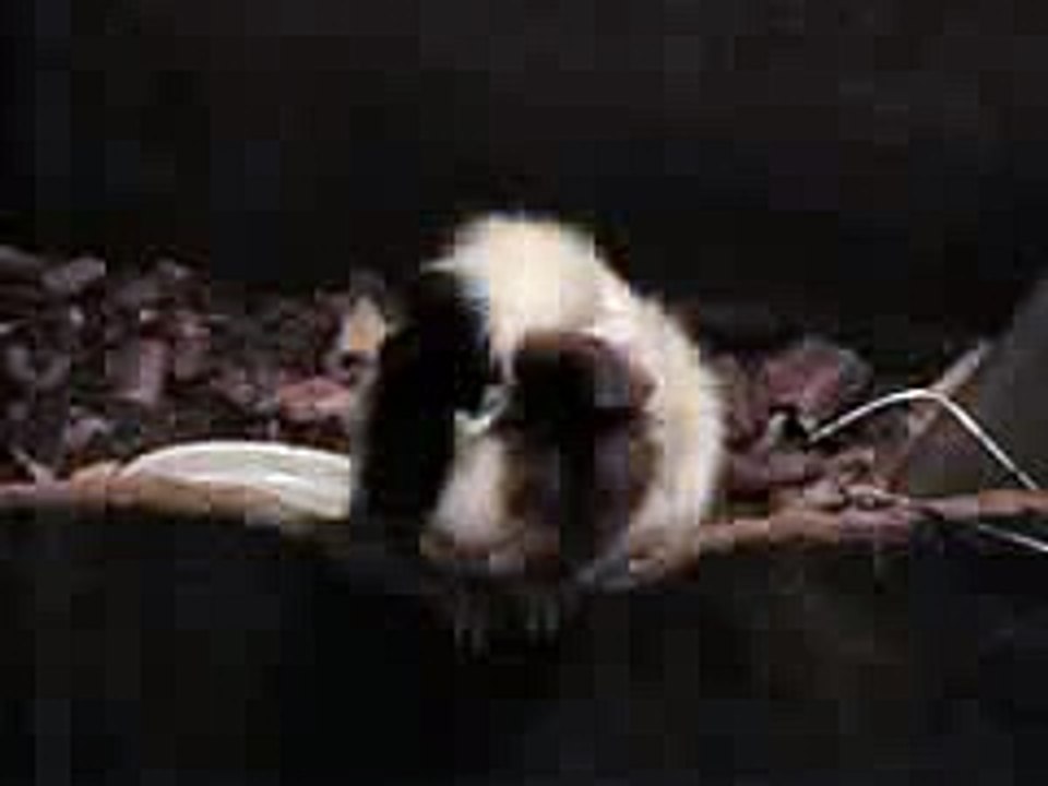 Key Insights and Highlights