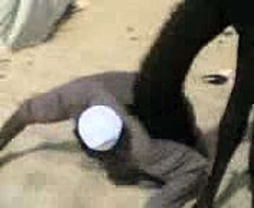 funny camel top songs 2016 best songs new songs upcoming songs latest songs sad songs hindi songs bollywood songs punjabi songs movies songs trending songs mujra dance Hot songs