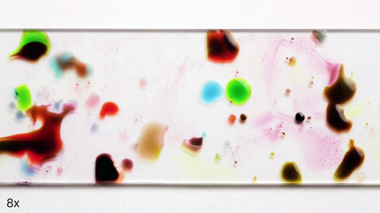 Do These Liquids Look Alive?