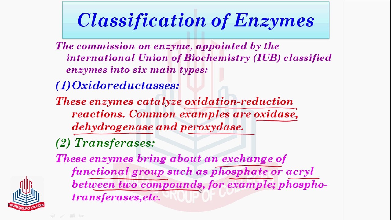 Classification of Enzymes