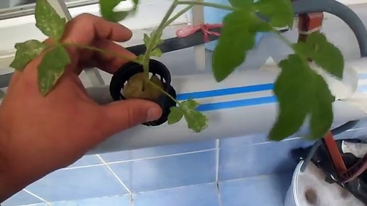 -BALKONDA SULU TARIM