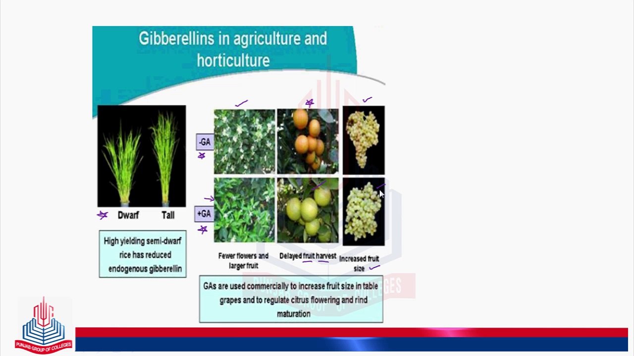 Commercial applications of Gibberellins & Effects of Cytokinins