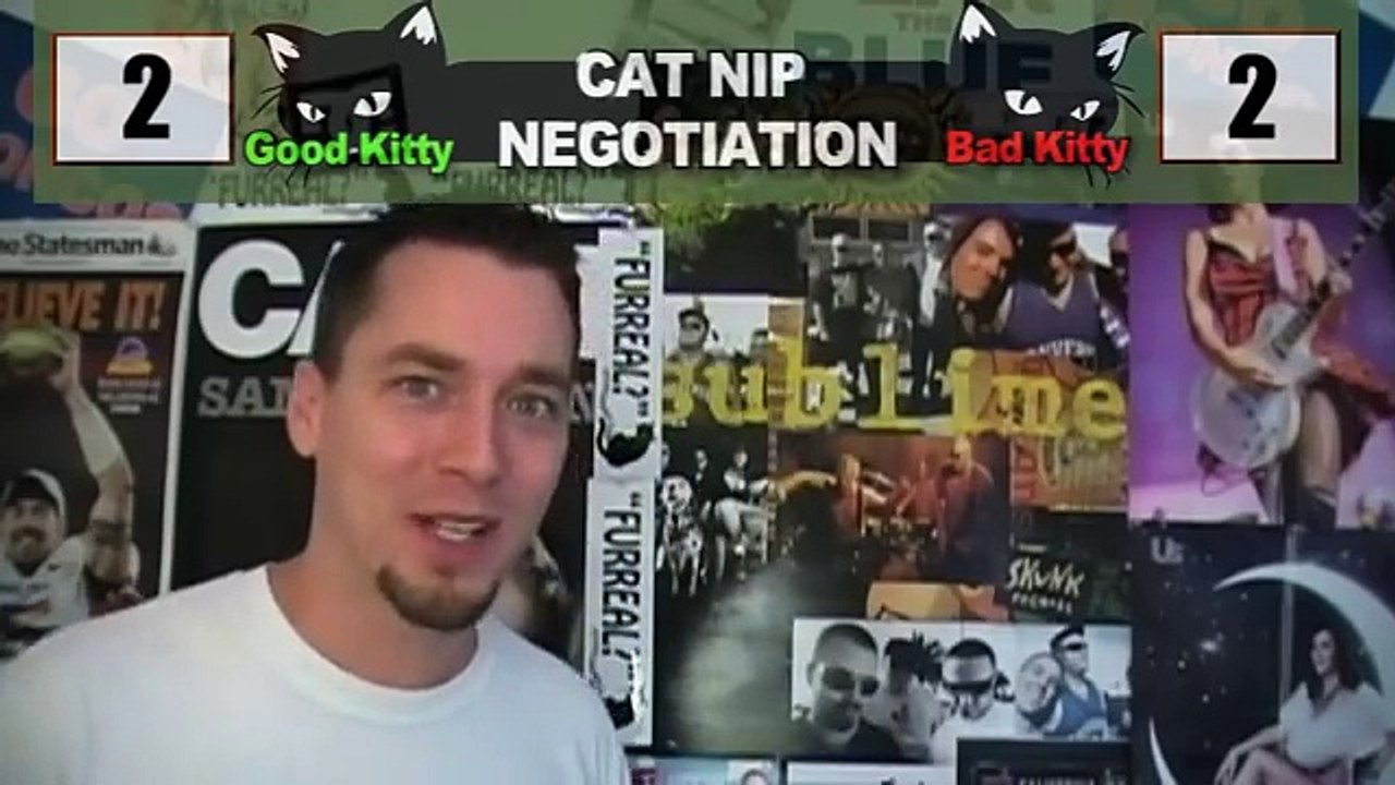 Talking Kitty Cat 23.5 - Sylvester's Birthday