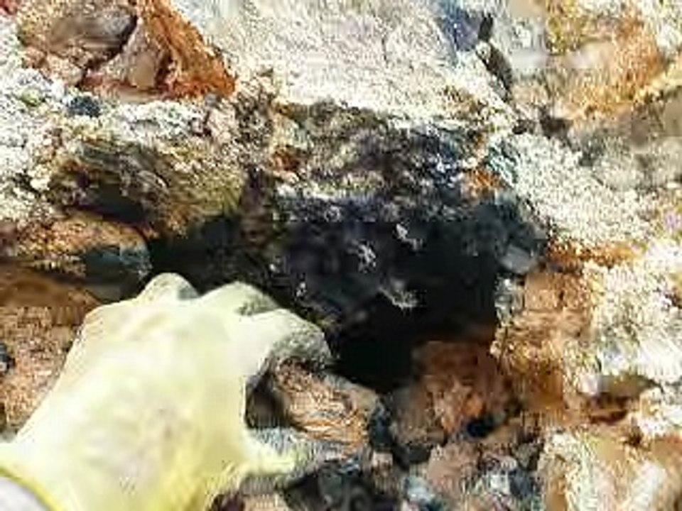 Quartz Crystal top songs 2016 best songs new songs upcoming songs latest songs sad songs hindi songs bollywood songs punjabi songs movies songs trending songs mujra dance Hot songs