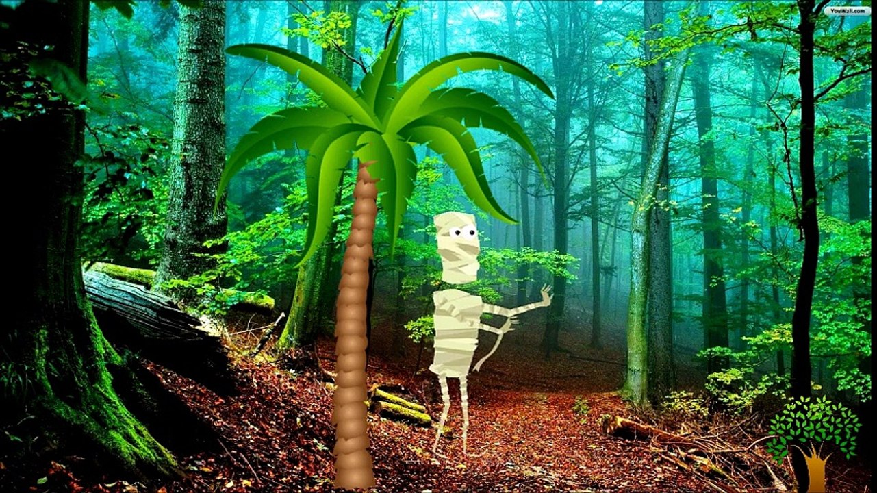 Difference Between Tall and Short