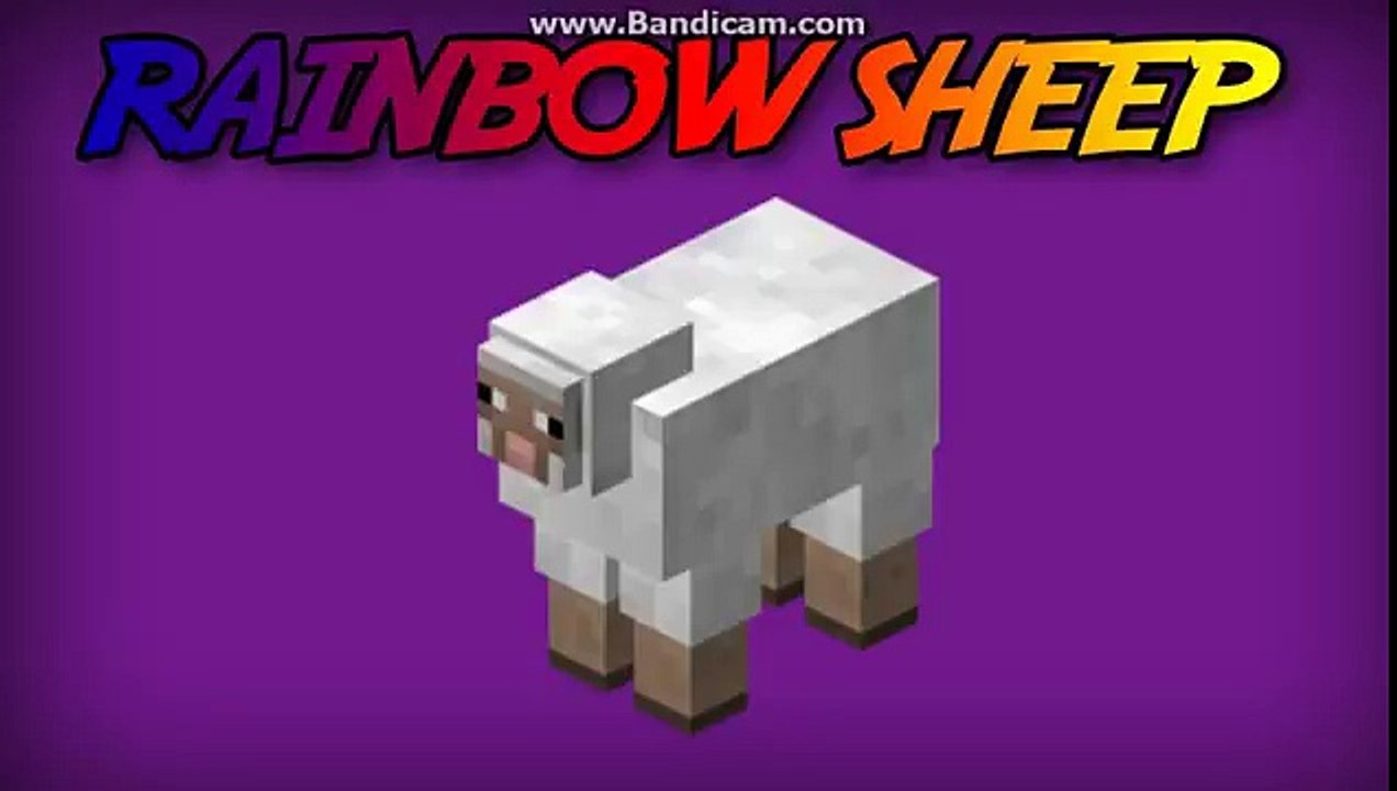 TU24 New Rainbow Sheep